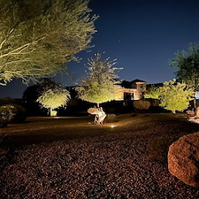 Landscape Lighting 17
